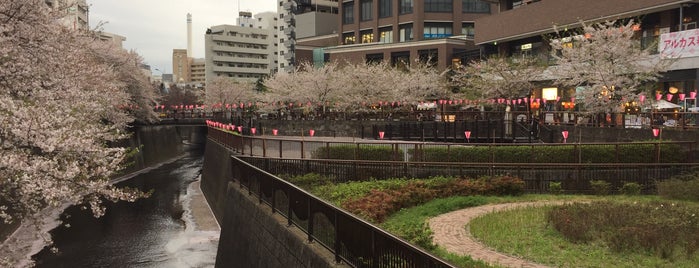 Meguro is one of Cities in Tokyo.