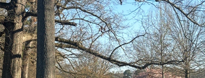 Joseph Bryan Park is one of Places To Try.