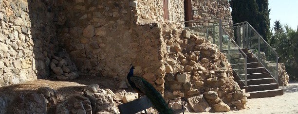 Castillo de la Concepción is one of Lugares favoritos de Wendy.