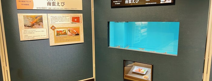 Niigata City Aquarium Marinepia Nihonkai is one of 新潟.