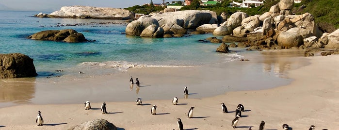 Boulders Beach is one of South Africa.
