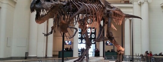 The Field Museum is one of Chicago To-Dos.