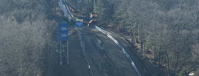 Harris Hill Ski Jump is one of To Be Visited.