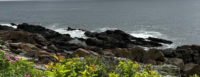 The Oarweed is one of Kennebunkport.