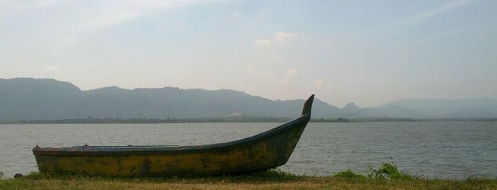 Tasoh Lake Resort & Retreat is one of Tempat yang Disukai ꌅꁲꉣꂑꌚꁴꁲ꒒.