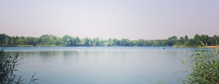 Riedsee is one of Hotspots Hessen | Berge, Seen & Natur.