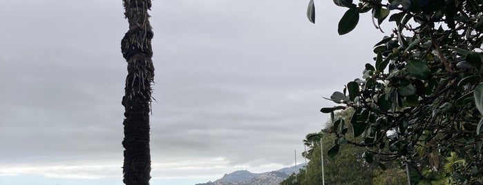 Jardim Botânico is one of Férias Madeira.