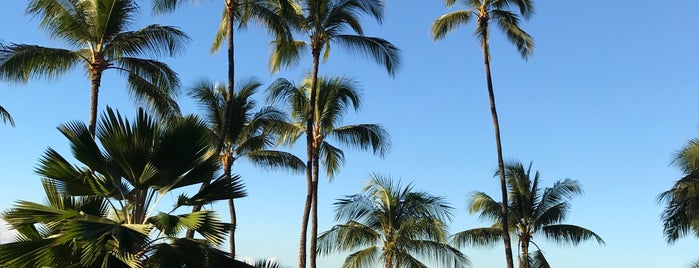 Outrigger Waikiki Beach Resort is one of Ohau.
