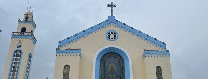 Our Lady of Guadalupe Church is one of Church to visit.