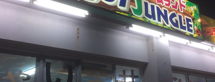 ジョイジャングル やいま店 is one of 弐寺行脚済みゲームセンター.