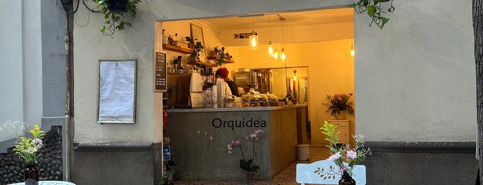 Orquidea is one of cafés cdmx.