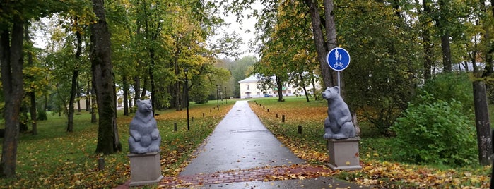 Mäetaguse is one of Eesti alevikud / Estonian towns.