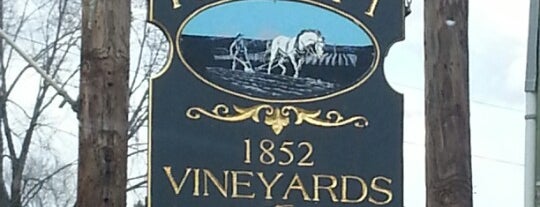 Hazlitt 1852 Vineyards is one of Finger Lakes Wine Trail & Some.