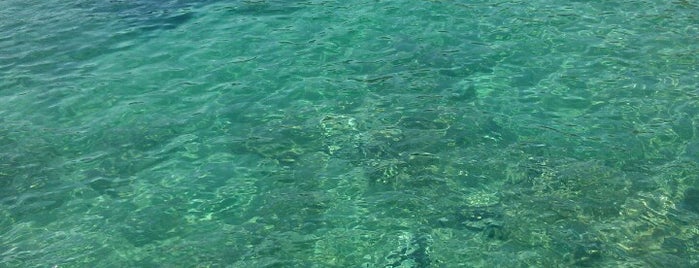 Adriatic Sea is one of สถานที่ที่บันทึกไว้ของ Sevgi.