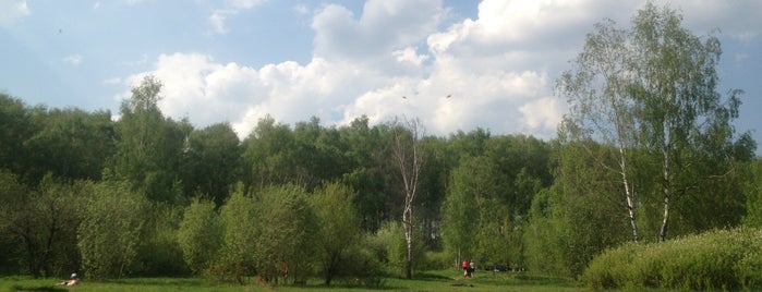 Медведковский лесопарк is one of Парки.