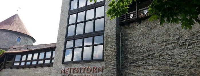 Neitsitorn is one of Muuseumid/Museums.