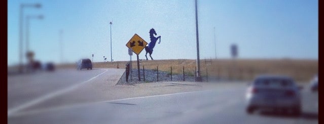 Blue Mustang by Luis Jiménez is one of Favorite places I've visited.