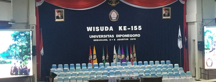 univesitas diponegoro