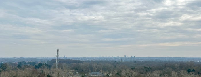 Nationaal Park Zuid-Kennemerland is one of Into the Woods.