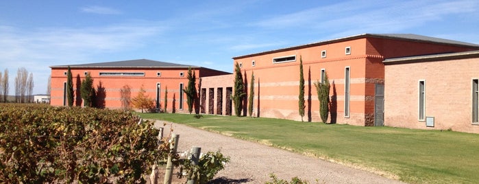 Bodega Ruca Malen is one of Mendoza: Bodegas y Viñedos.