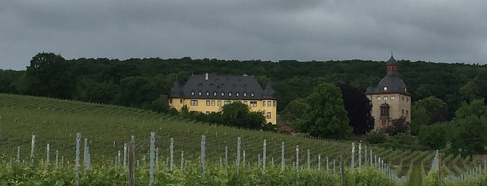 Schloss Vollrads is one of 4sq365de (2/2).