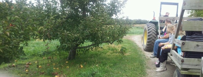 Beasley's Apple Orchard is one of Orte, die Dana gefallen.