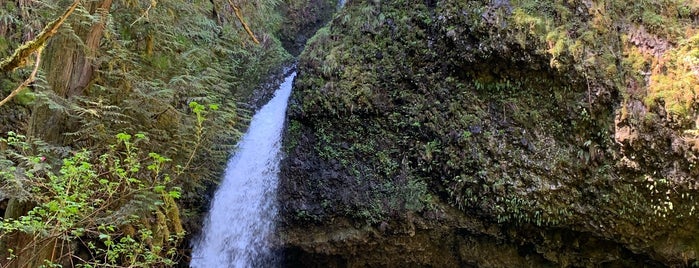Upper Latourell Falls is one of Lugares favoritos de Andrew.