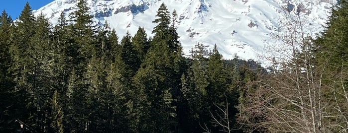 Mount Rainier National Park is one of WA.