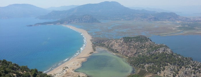 İztuzu Beach is one of Turkey.