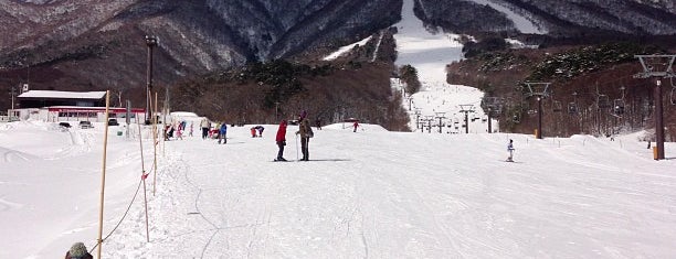 いいづなリゾートスキー場 is one of Ski area.