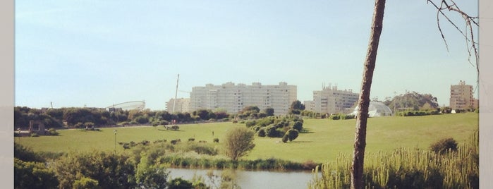 Parque da Cidade is one of Portugal.