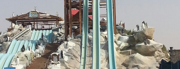 Ice Land Water Park is one of Dubai.
