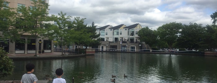 Tualatin Commons is one of Parks.