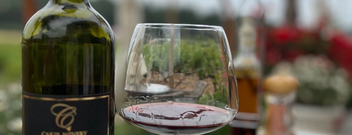 Çakır Winery & Vineyards is one of alaçatı-urla.