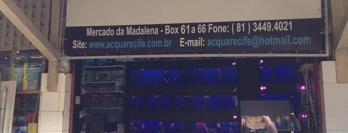AcquaRecife is one of Prefeituras.