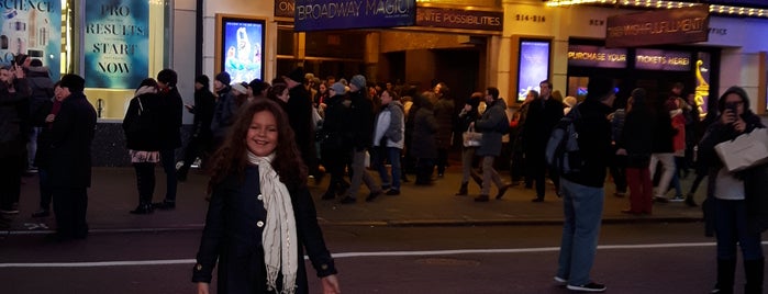 Aladdin @ New Amsterdam Theatre is one of Geraldo Magelaさんのお気に入りスポット.