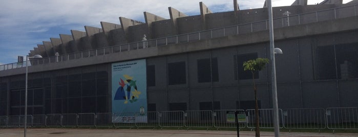 Estádio Governador Magalhães Pinto (Mineirão) is one of Geraldo Magelaさんのお気に入りスポット.