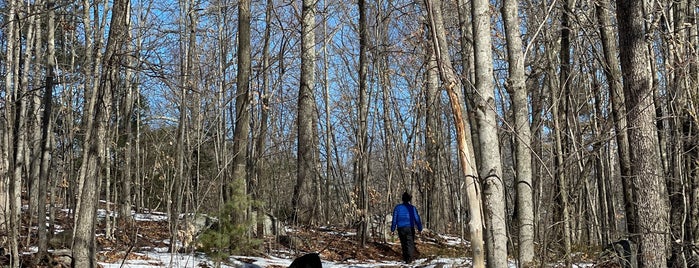 Pratt's Brook Conservation Area is one of Dog walking trails.