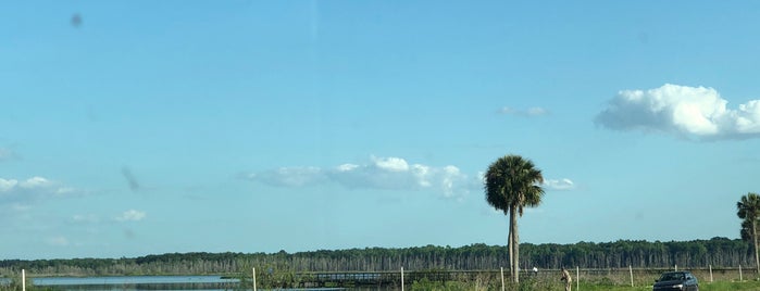 Paynes Prairie Dock is one of Top 10 favorites places in Gainesville, FL.