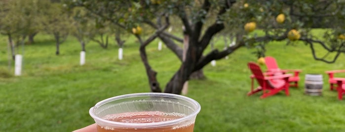Little Apple Cidery is one of berkshires.