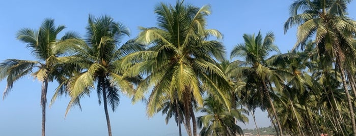 Big Blue Shack is one of Goa | India.