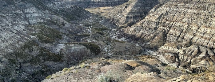 Horsethief Canyon Lookout is one of Alberta - Wild Rose Country.