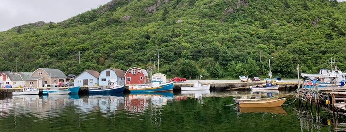 Petty Harbour is one of Newfounland.