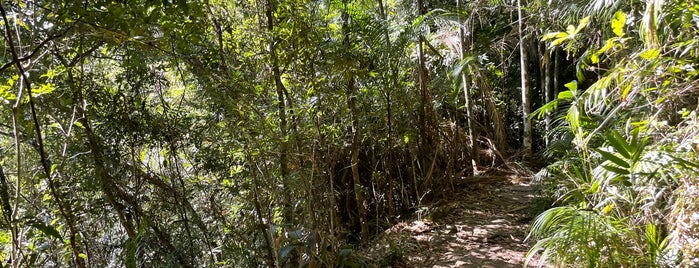 Parque Nacional da Serra dos Órgãos is one of Teresopolis.