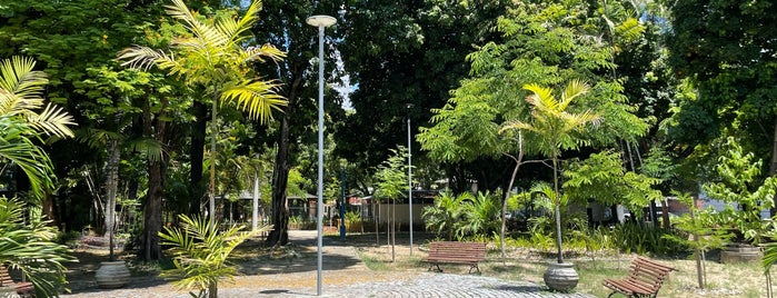 Parque 13 de Maio is one of joyce.