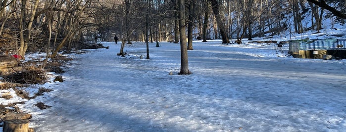 Blythwood Ravine is one of Parks around Y&E.