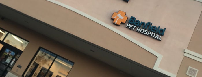 PetSmart is one of My hometown: regular here :).