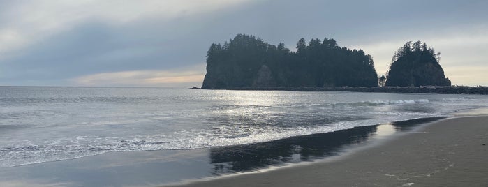First Beach is one of Washington Olympic Region.