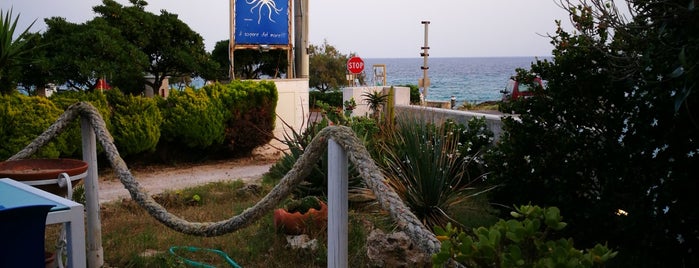 Octopus is one of Salento.