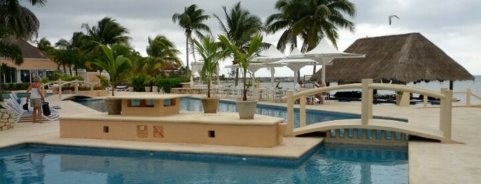 Omni Puerto Aventuras Beach Resort is one of Lugares favoritos de Rona..